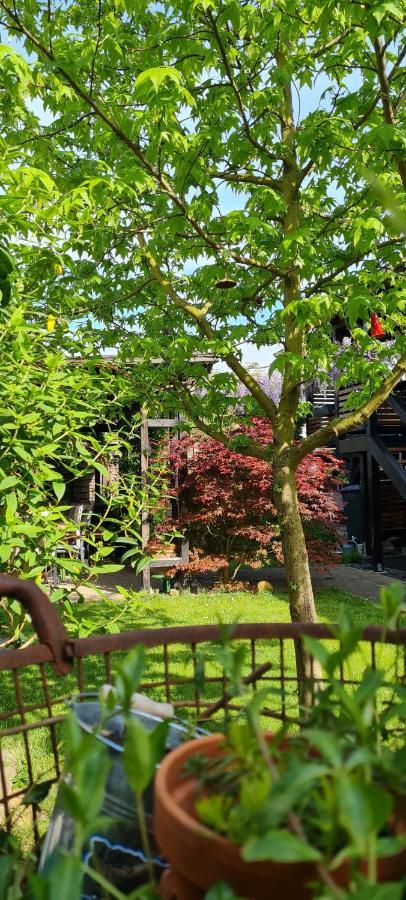 Apartment Rose Fritzlar Ngoại thất bức ảnh